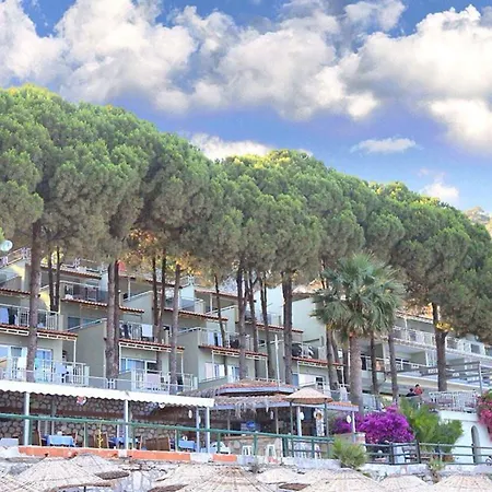 Pine Boutique מלון טורונץ'