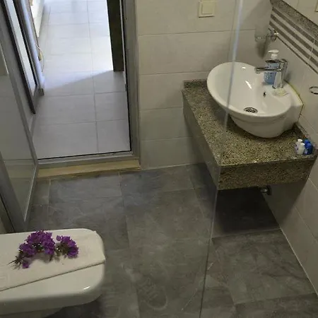 Pine Boutique מלון